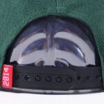 Fashion snapback hat with raised embroidery logo on front panel