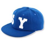 Blue flat brim cap with flat embroidery logo